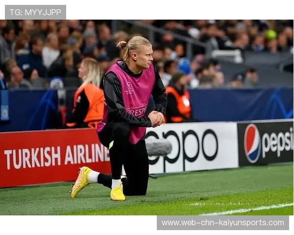 本菲卡瞄准哈兰德式高塔前锋，打造终极攻击矩阵